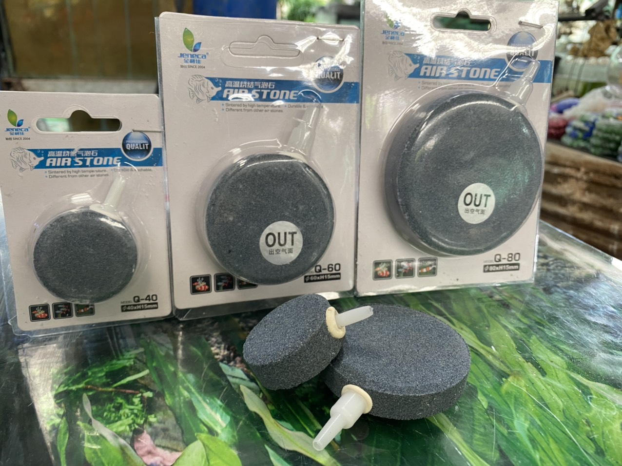 z3361948009556_315ac6292c004cafbc0b248531e0581f