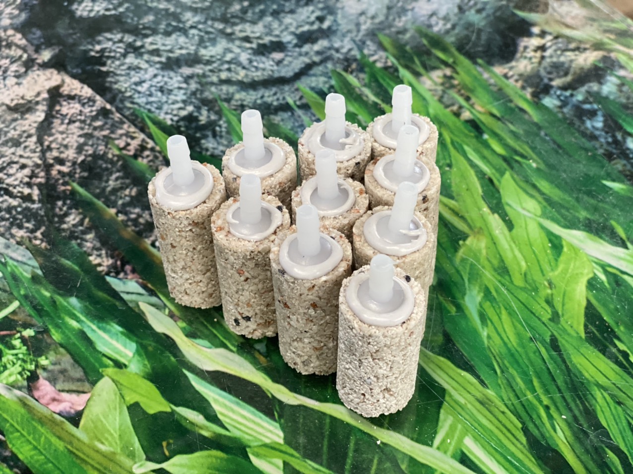 z3362366322737_00433ac06c4ae1a8083084ddd823eeb3