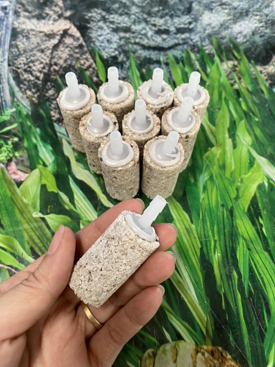 z3362366326550_01211a94e57dd9e5e431320b906637dc