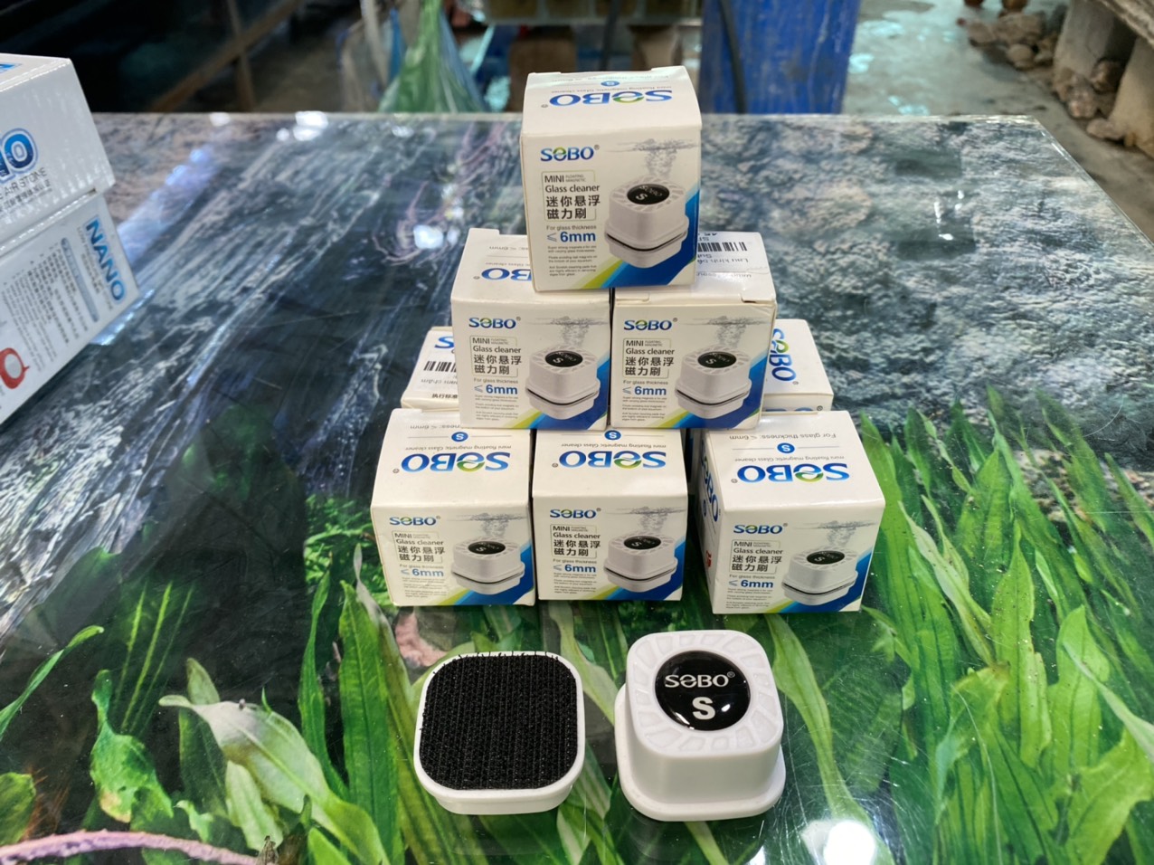 z3362406101746_a6496dc806a05fa72d726388e7680e96