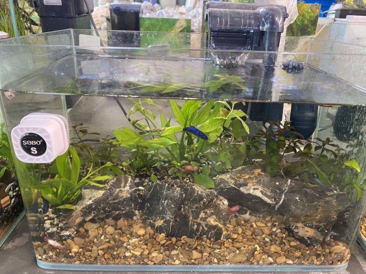 z3362406107864_d9f237d84f1aea450c93be6297d99e3a