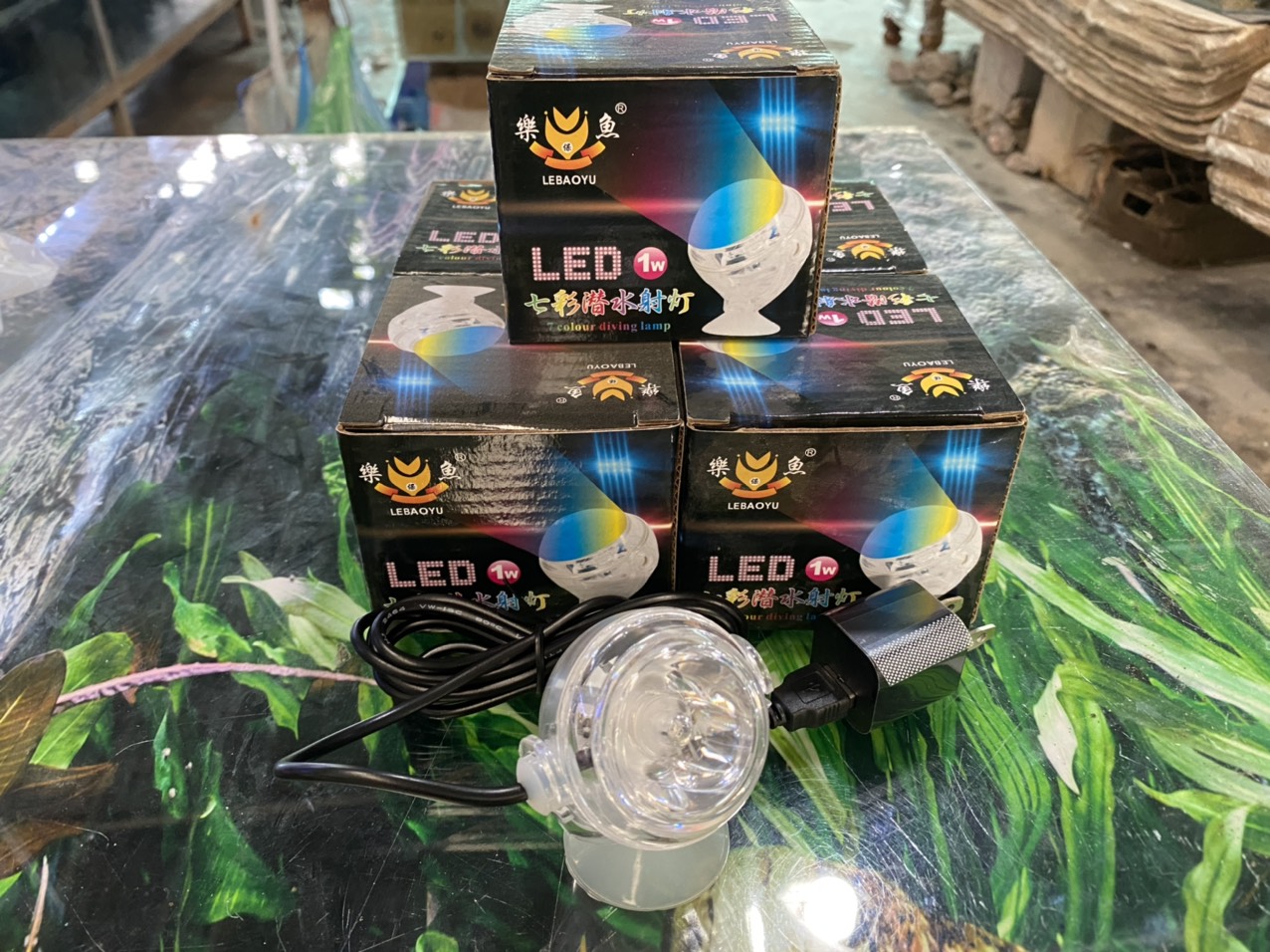 z3362676878706_8f41829ad9720f3c71b03e7ee6ffbe4e