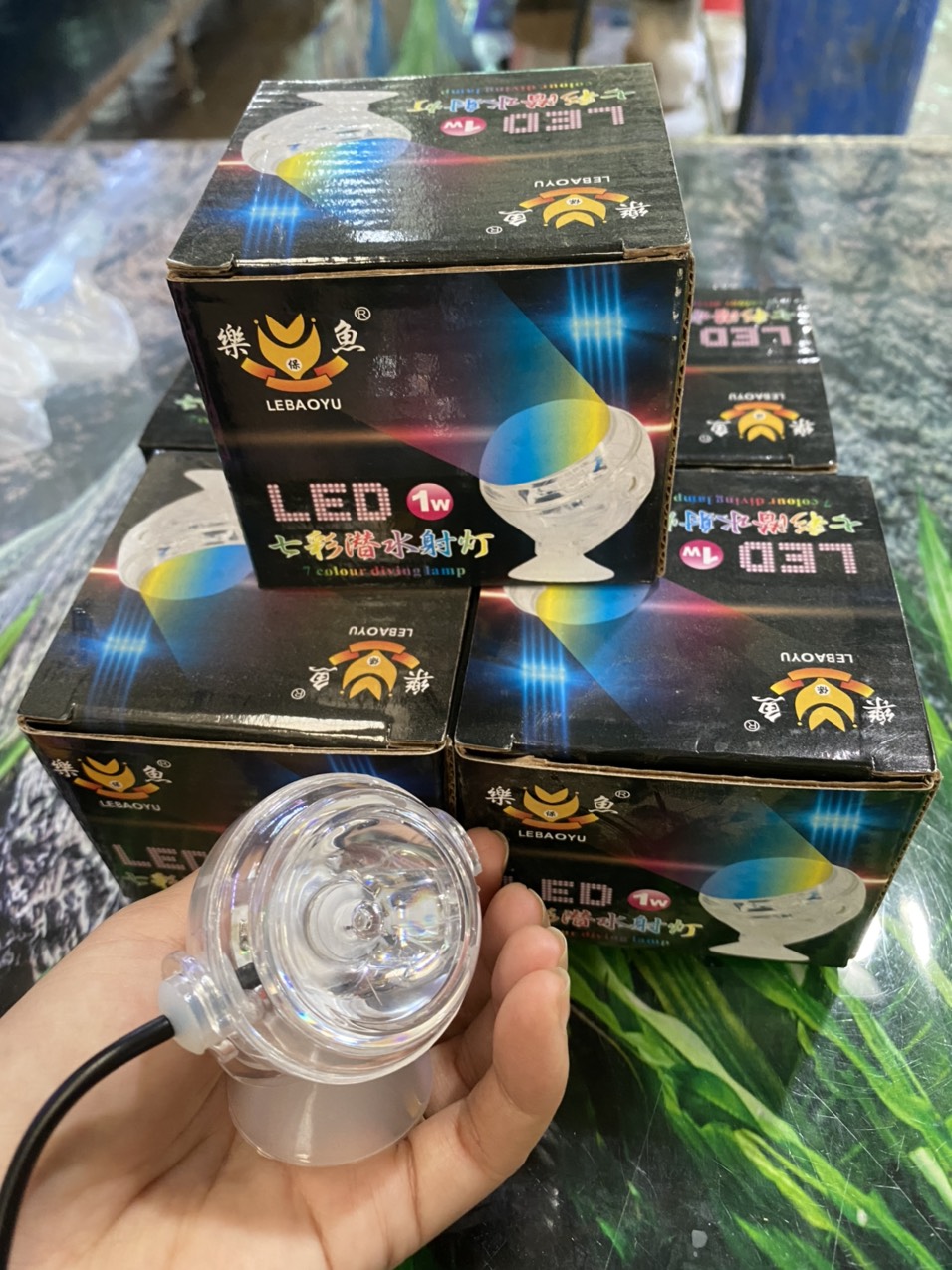 z3362676886426_278395f84c4f5aee47e9d1e21e989100