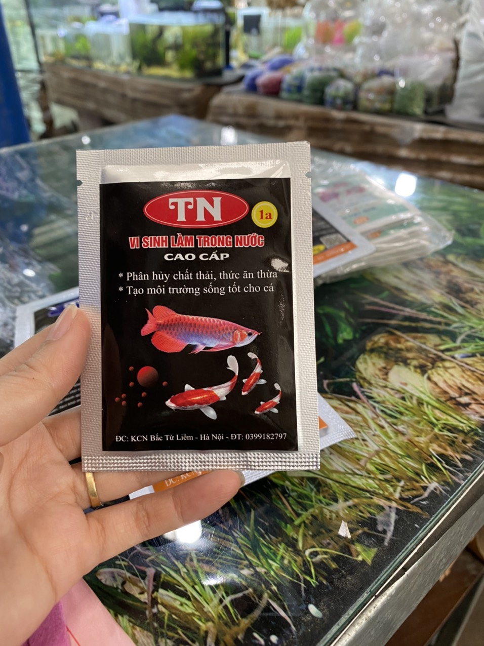 z3364234042357_21207c778eccaa50e4f3d5545559e9c7