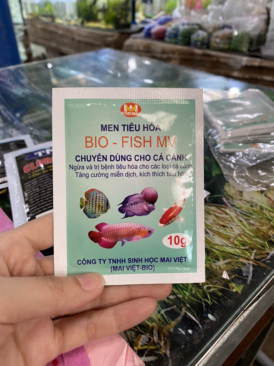 z3364234094487_6edcd5aaebedce53d5f8adea11134cea