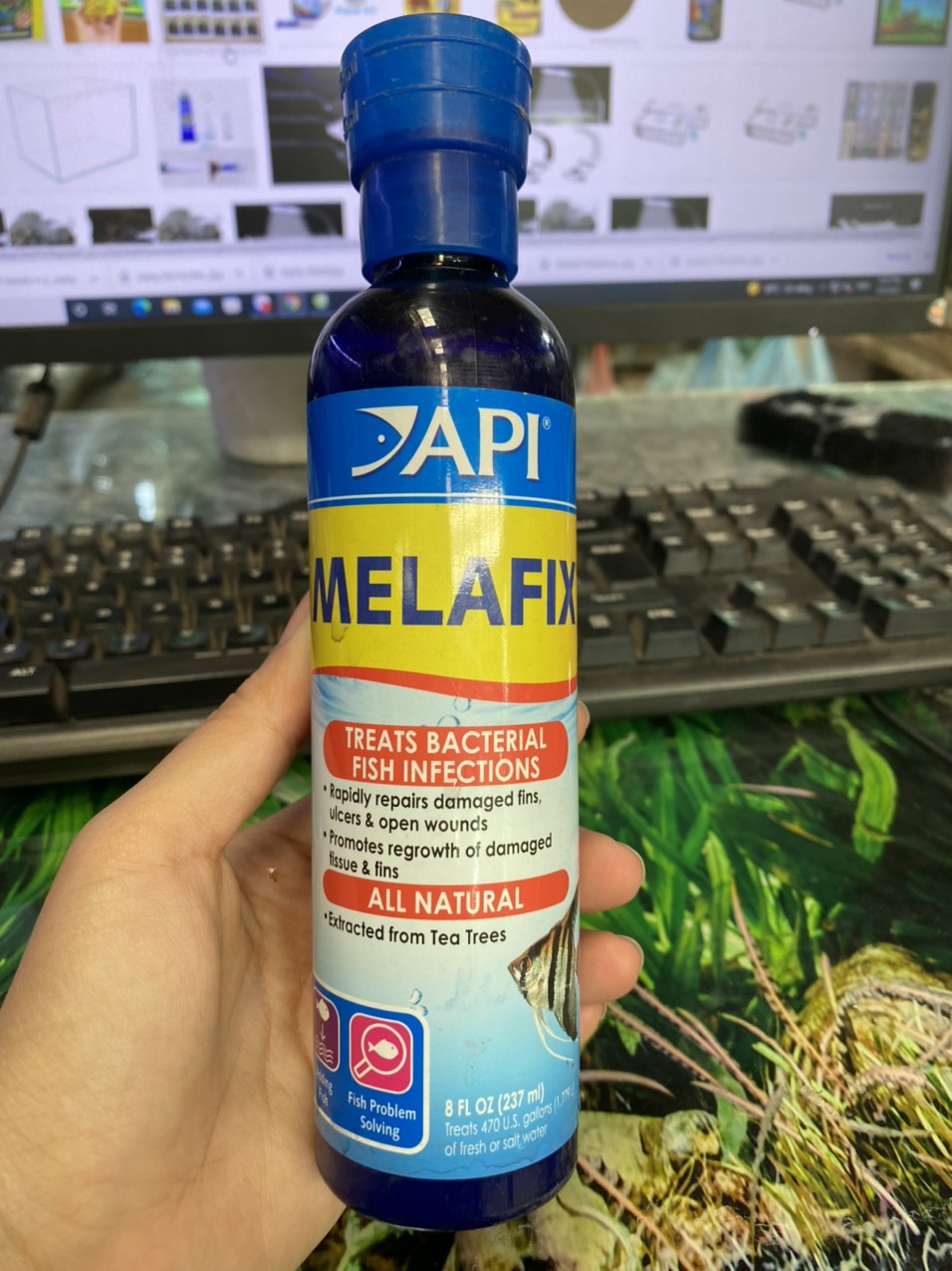 z3388518314303_1dbda3094a8287ba6978718a38077b72