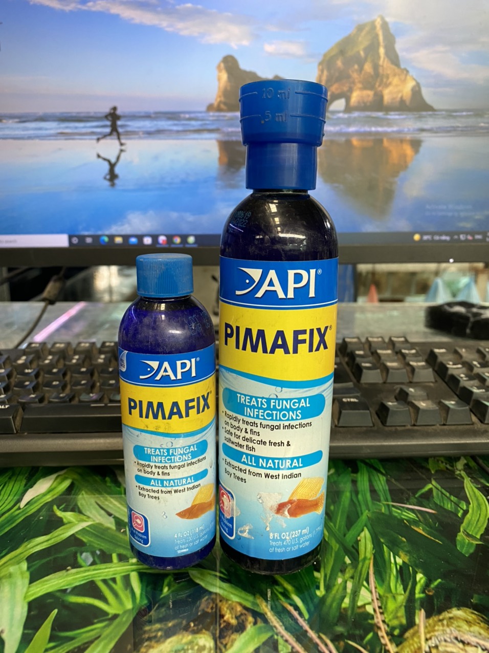 z3388518320941_1ff4a25c02b6516d16c91ab8e16700a1