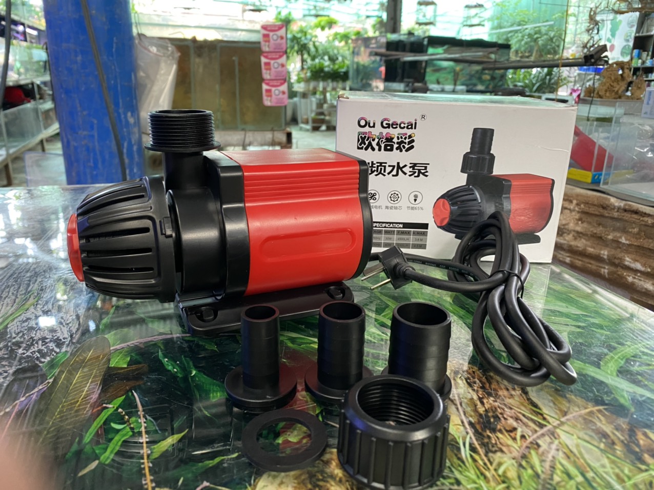 z3393943624868_9dd82faf061e780a5ea60ac648efc391