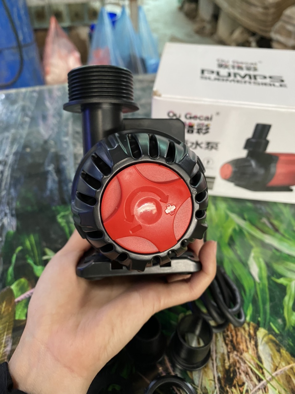 z3393943625892_023bb53f3be3a864b8b54f9d7f21ab73