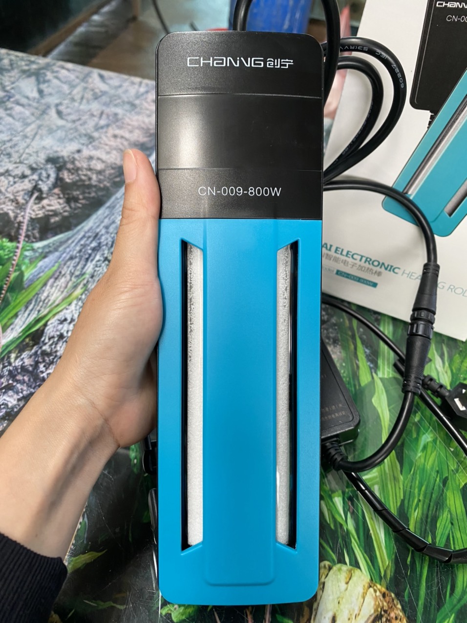 z3396138574357_fd837fb29db13defad7785f3581027cd