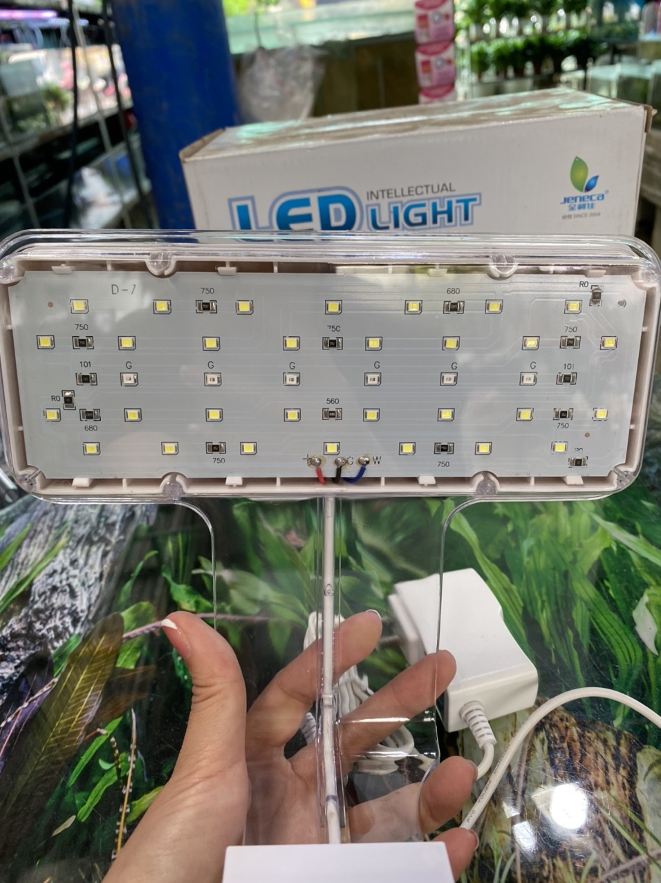 z3397908735624_04240d50b01b0af720731aa8a8c4882b