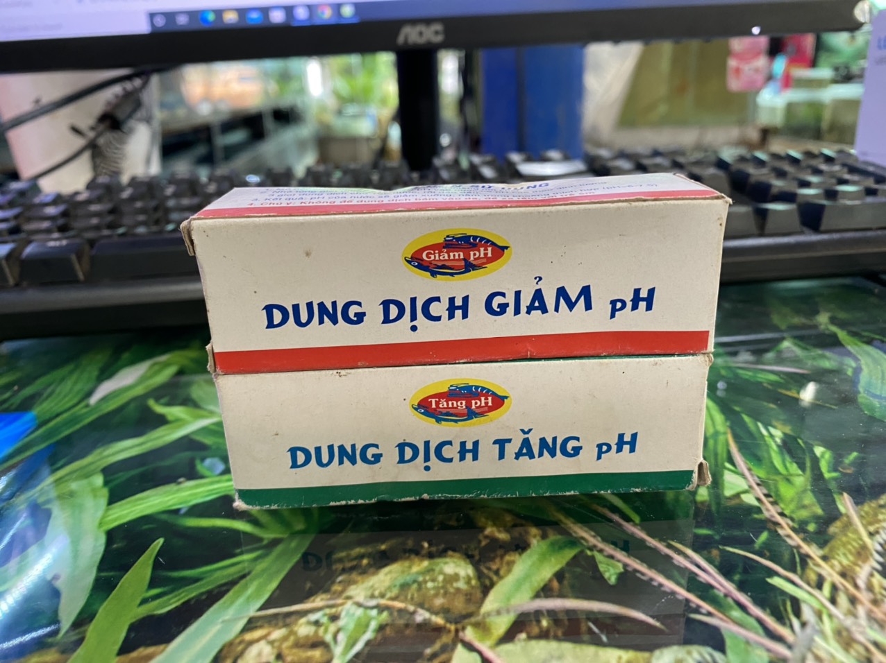 z3398393814562_32e85305a1f32d607e4e5b0dd8958dd8