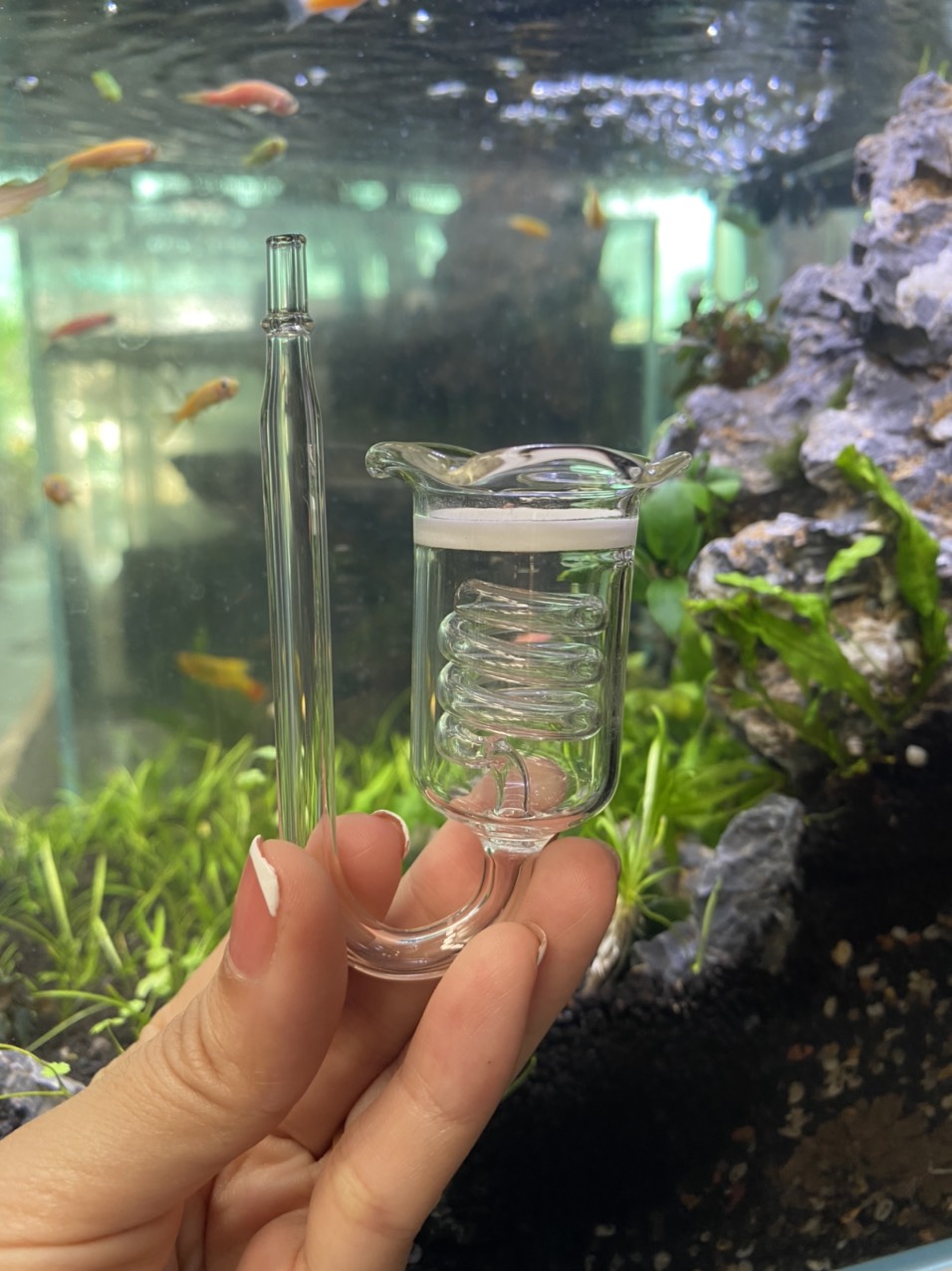 z3403367846922_3eb5db9d402e27a36a192c185e1cf01e