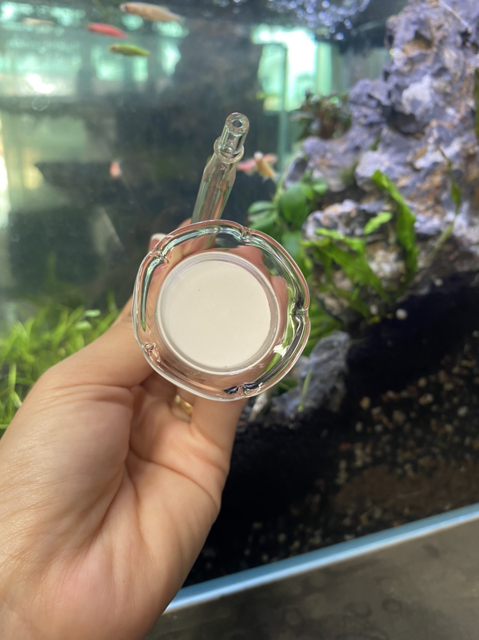 z3403367851051_d19628f3c60165e1a315fd30e79e384c