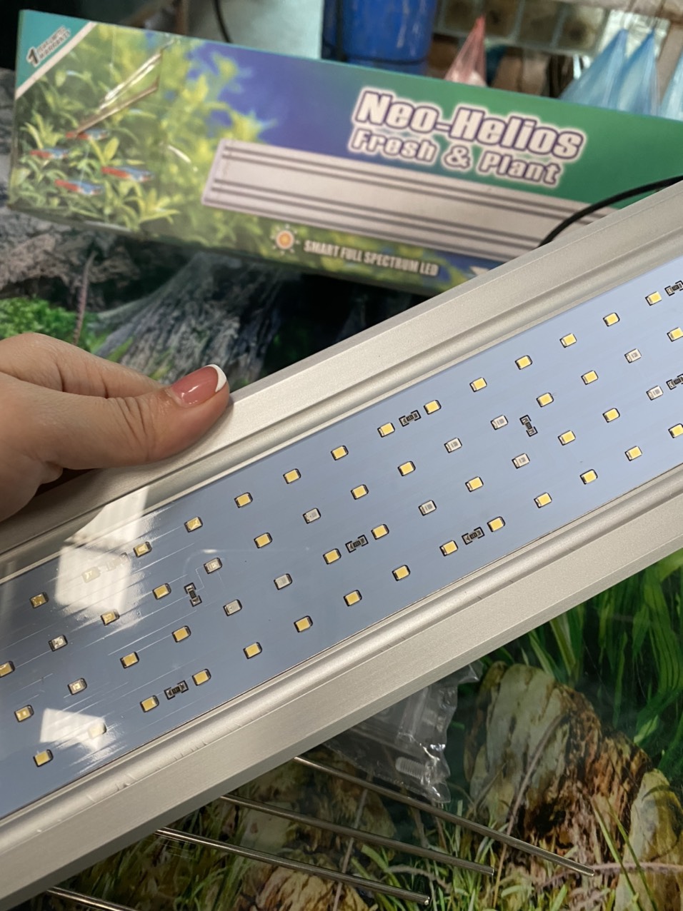 z3411421644645_8fb49f5bffa3b11dbb339a351fcd7bf0