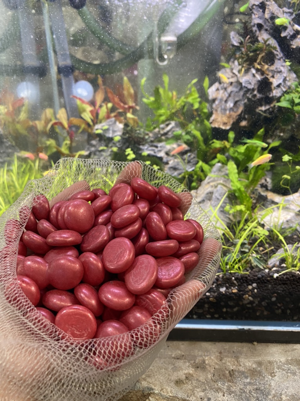 z3413445769012_6b6df91ce48f1000ea48f151cfee1a29