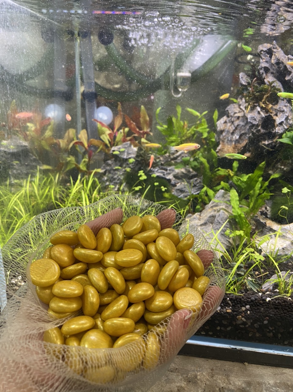 z3413445770692_25ab929a44f5920d76dd15e4bf023041