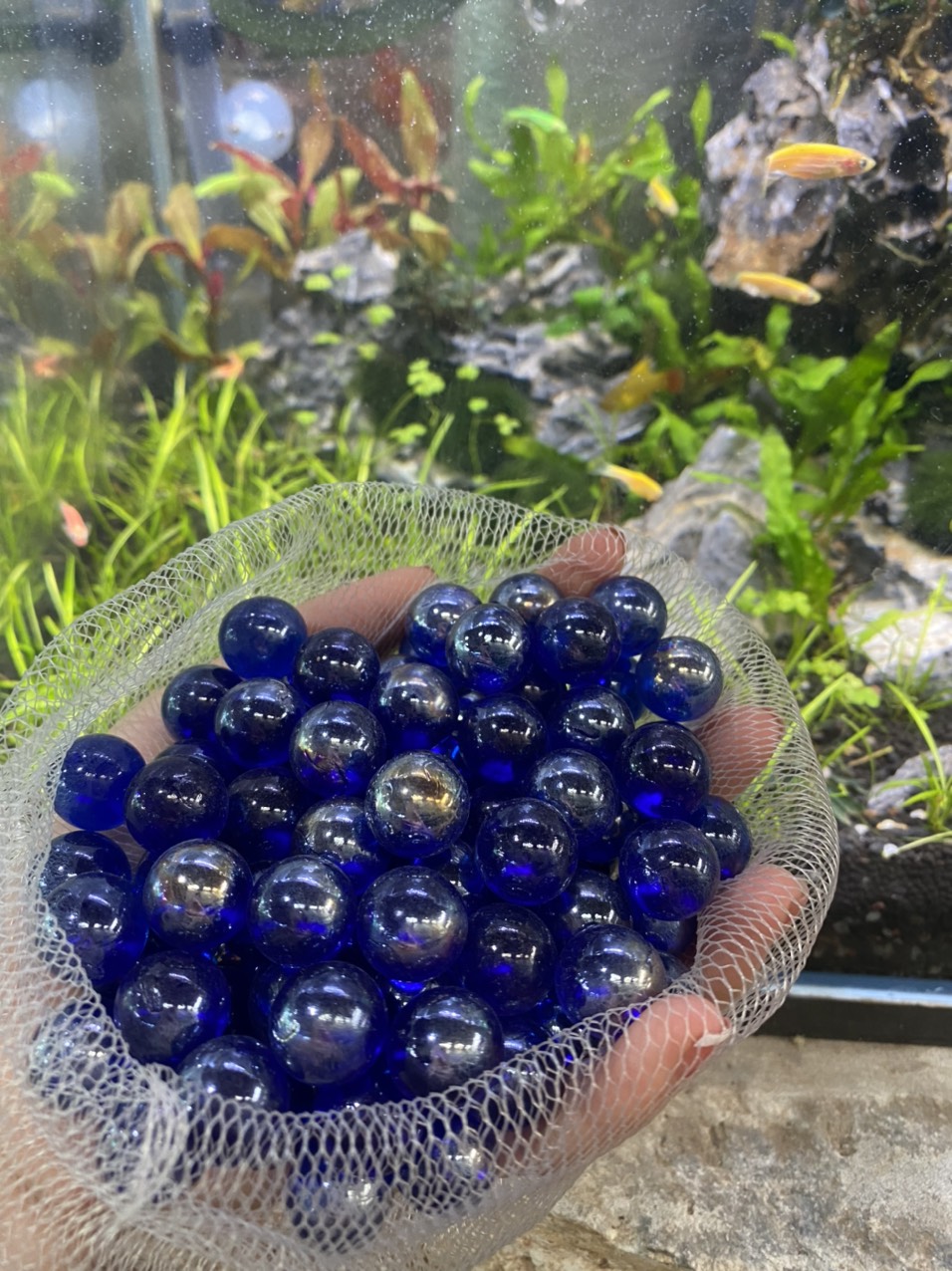 z3413445794265_d6c8d70af6bc73e8e53affe61b8442b5