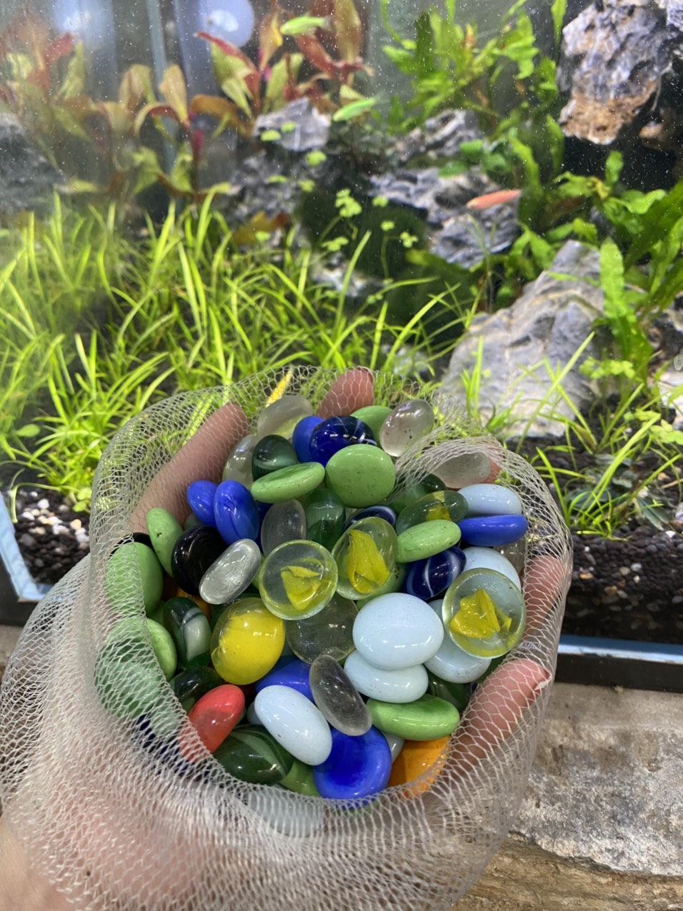 z3413445794891_060ce414e2a339725d88961a466c651e