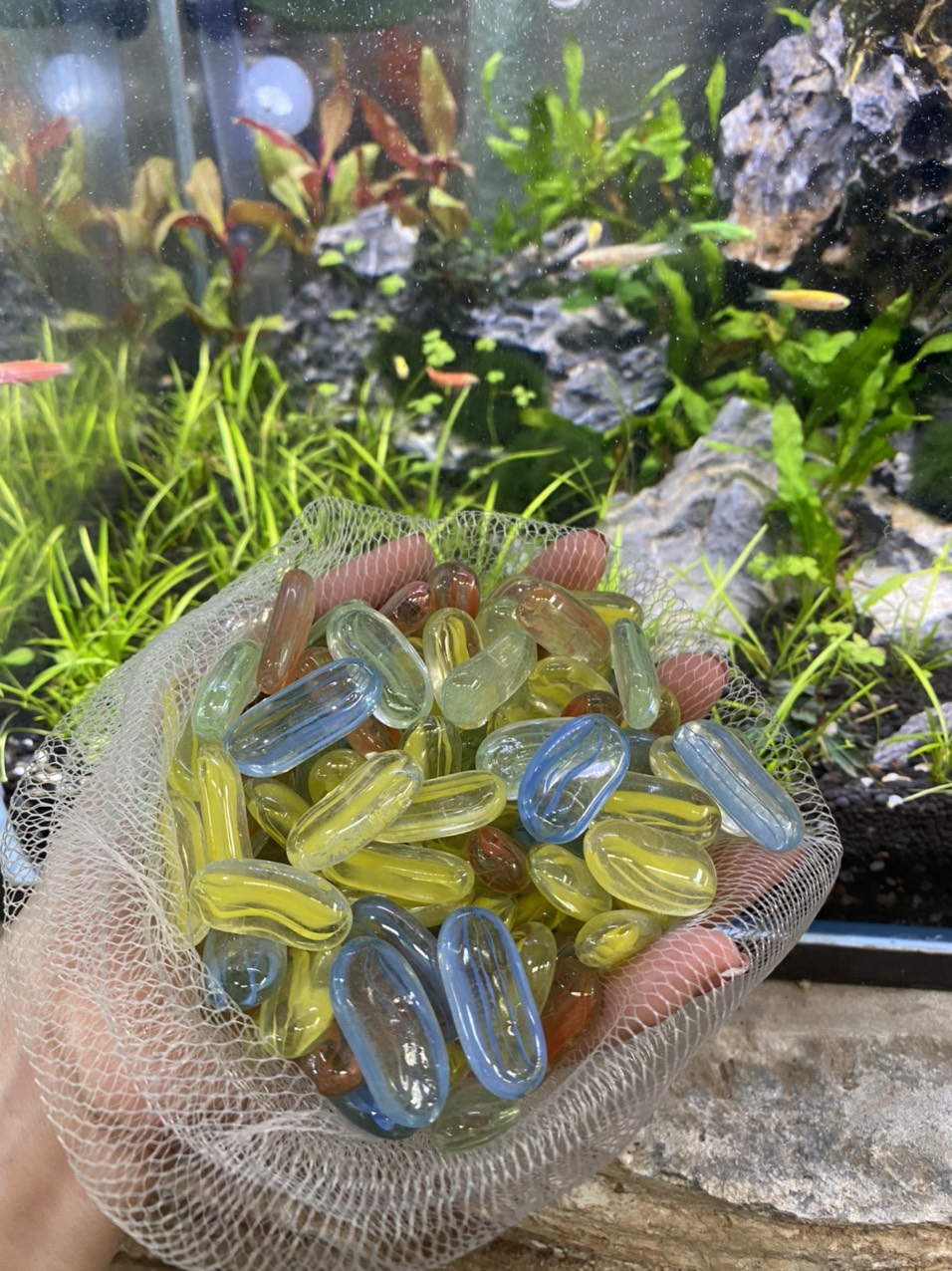 z3413445801315_7c37aba28a9fe9cc140dab9a07ff5e94