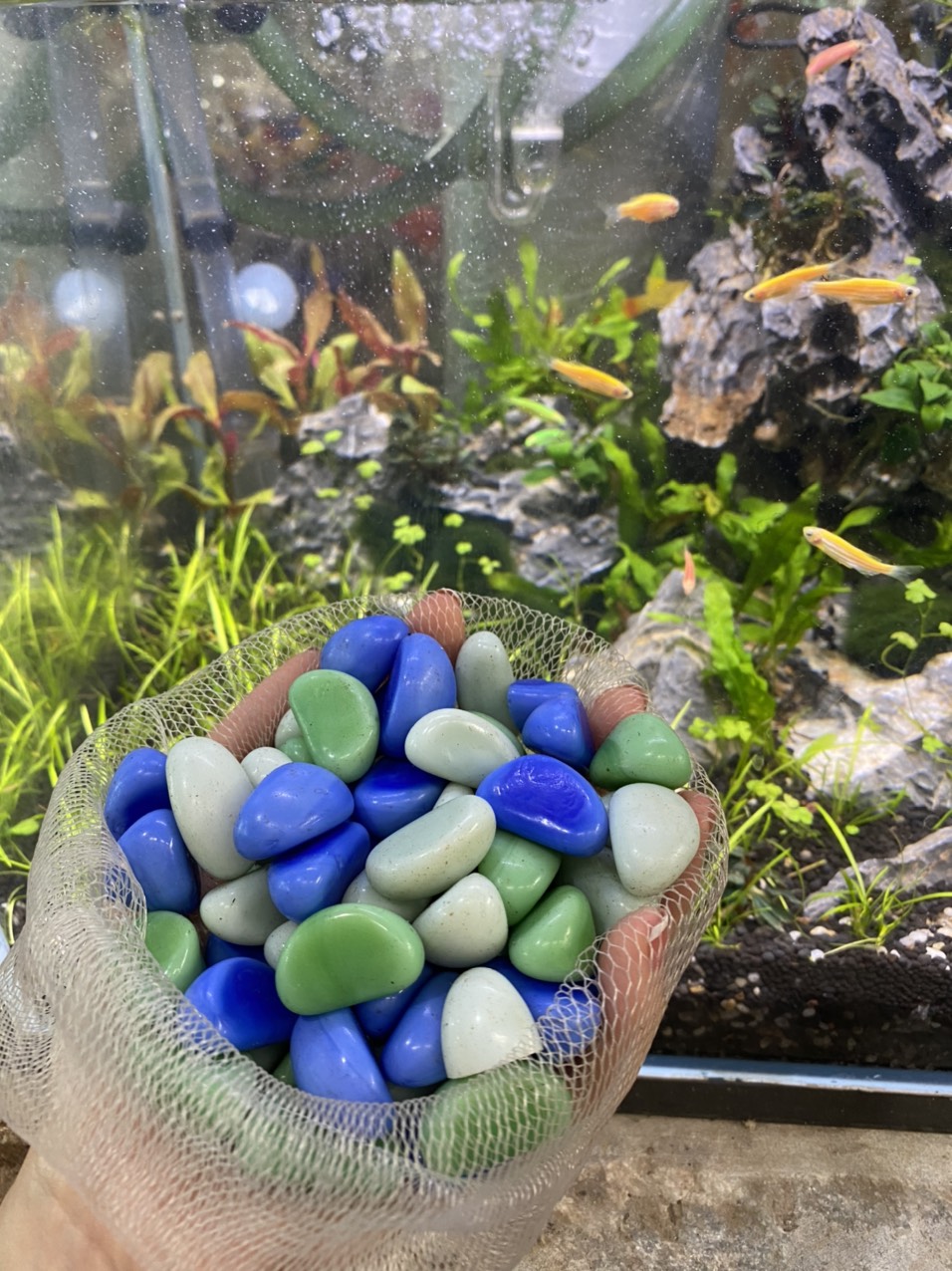 z3413445804795_74871a20f5aa24e8724a98c97e4808ae