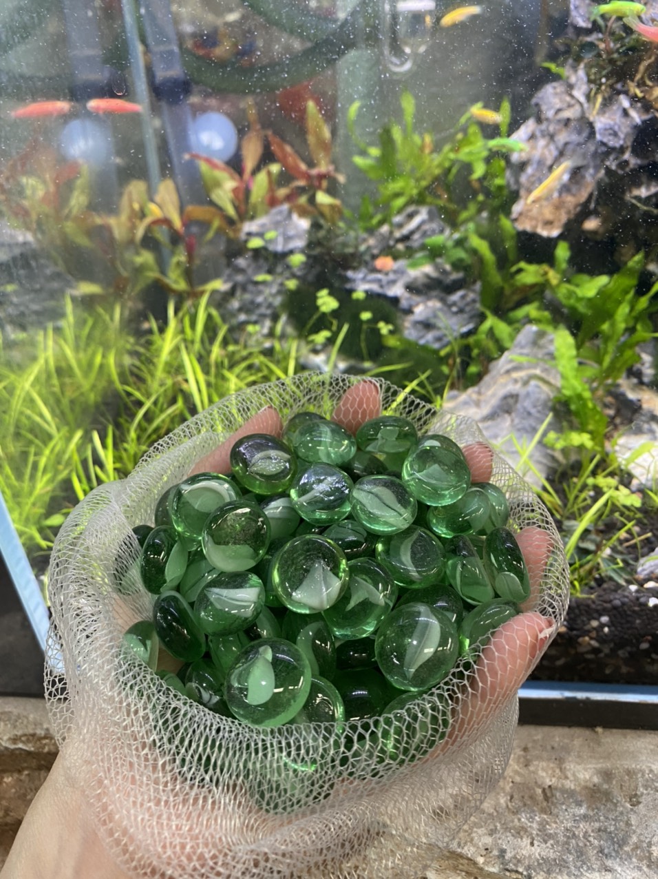 z3413445806615_2fefda32d34327c235dadef301045789