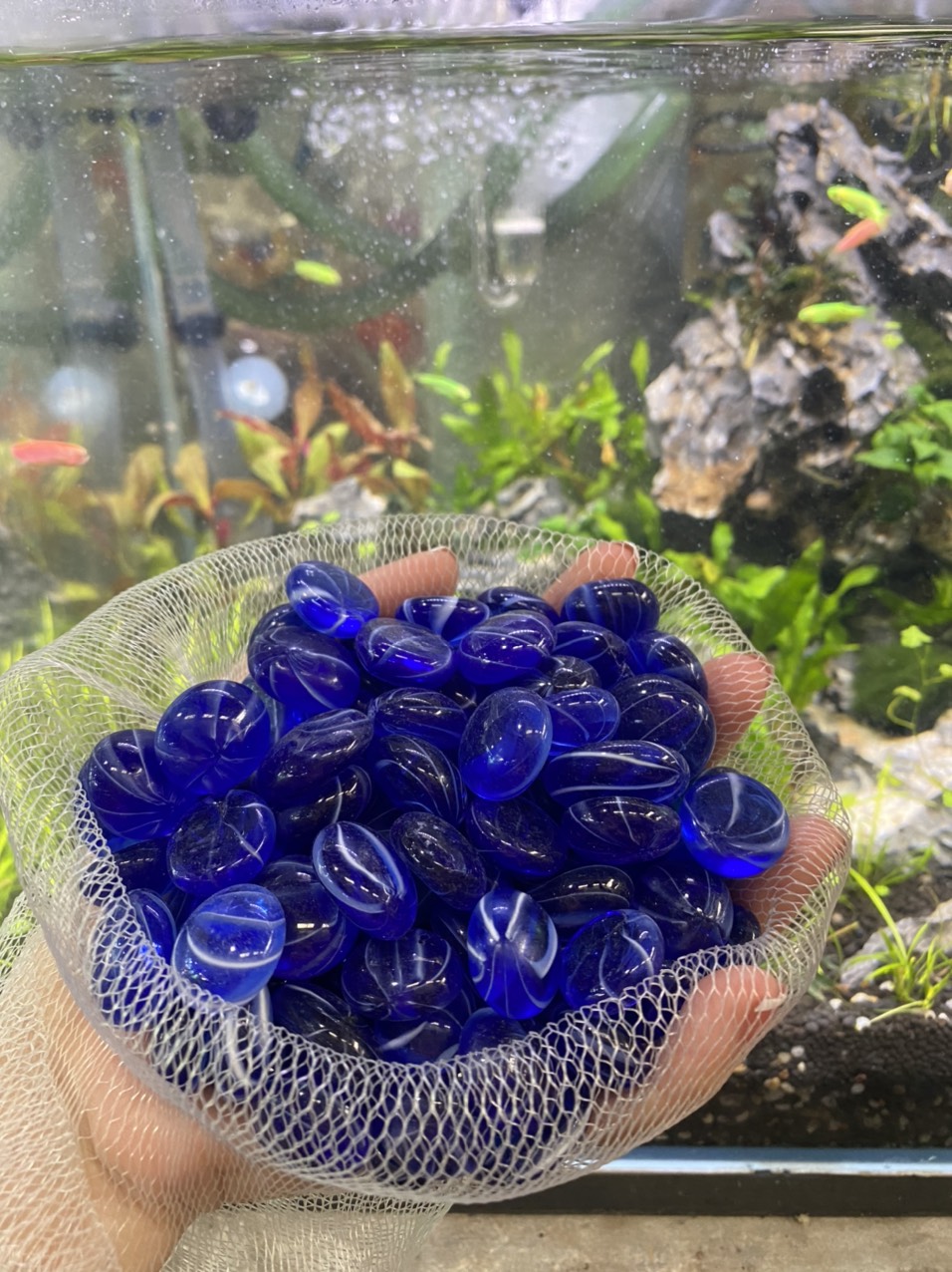 z3413445812314_aa6e5b8918cfffa968bb13daf9ffb19a