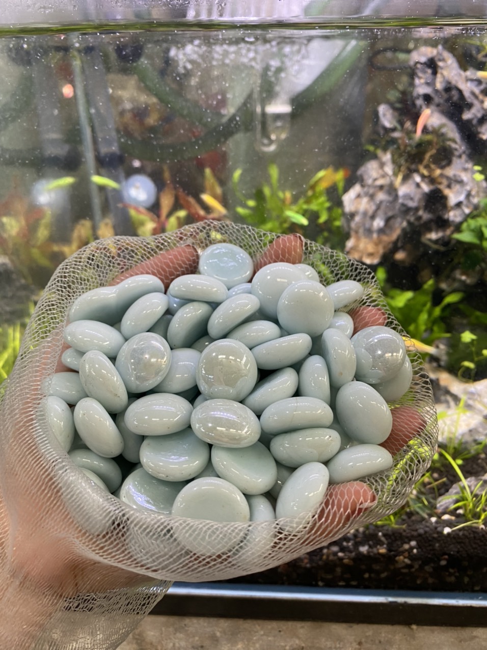 z3413445813888_36f089d2e84a501f938e3fa2b4fb995b