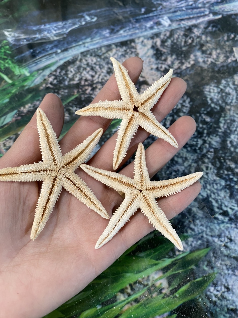 z3421053532572_bc6e86ab12065641ae807eceaef1881c