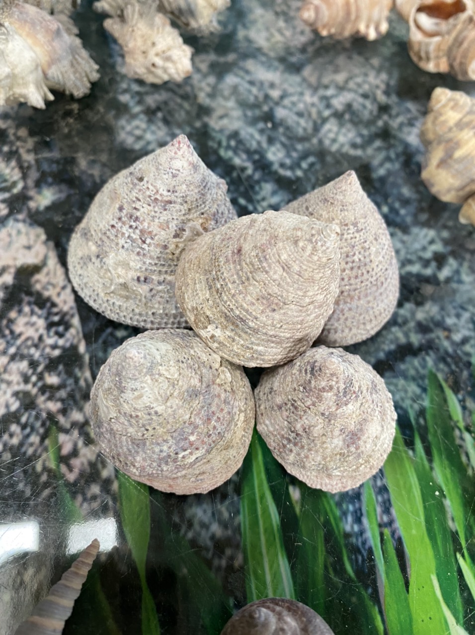 z3421053548377_cbeb1f3bba2af8c9ec4d3bad3ef5d3eb