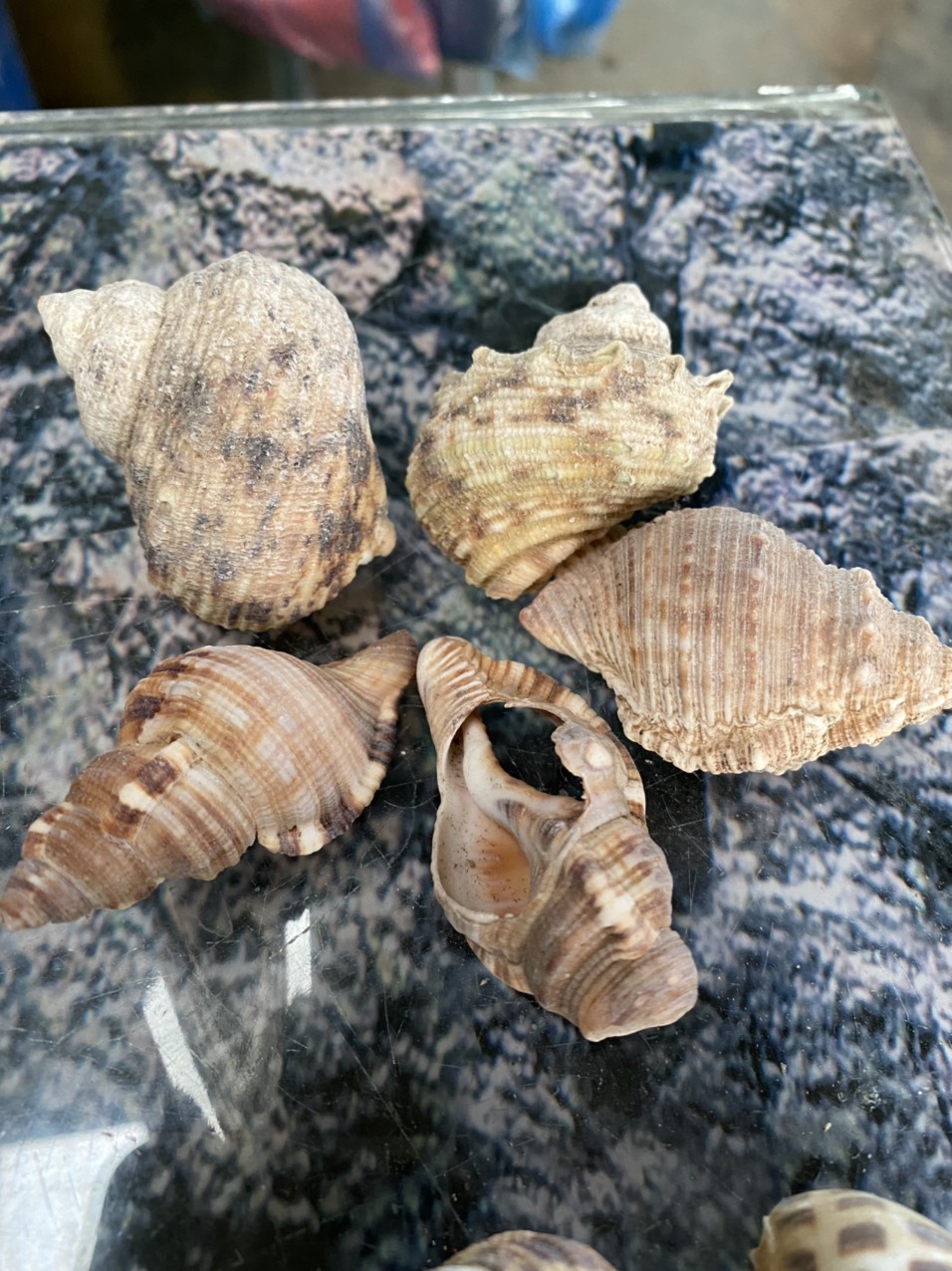 z3421053550348_bdfdede0526618fa1b0807a28e1dd36e