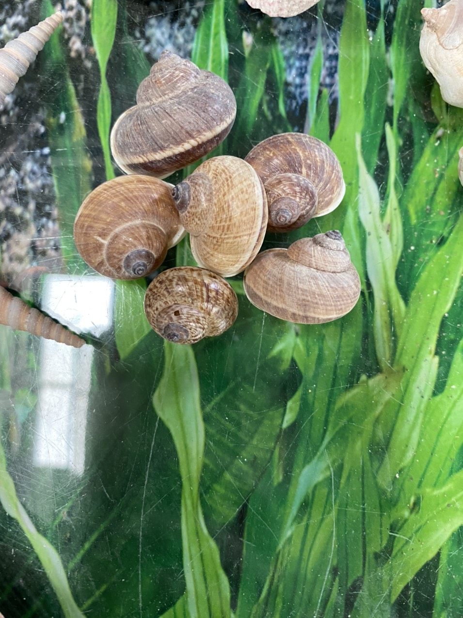 z3421053567352_246f108f8c29dcdc9f7e6179bed65686