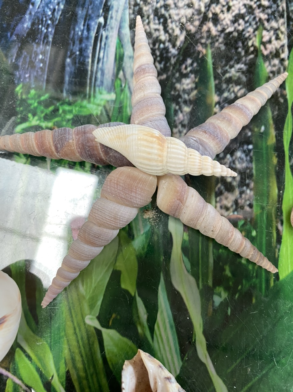 z3421053571371_cb2741fe7599e38ef923fea07aab464c