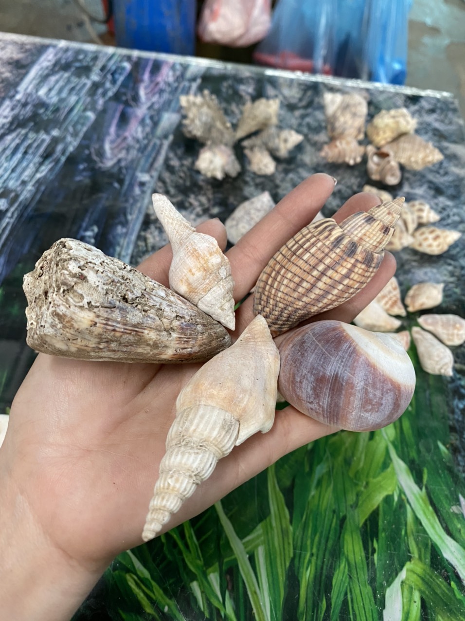 z3421053572038_a909ff8ce38eb154e949be824a779229