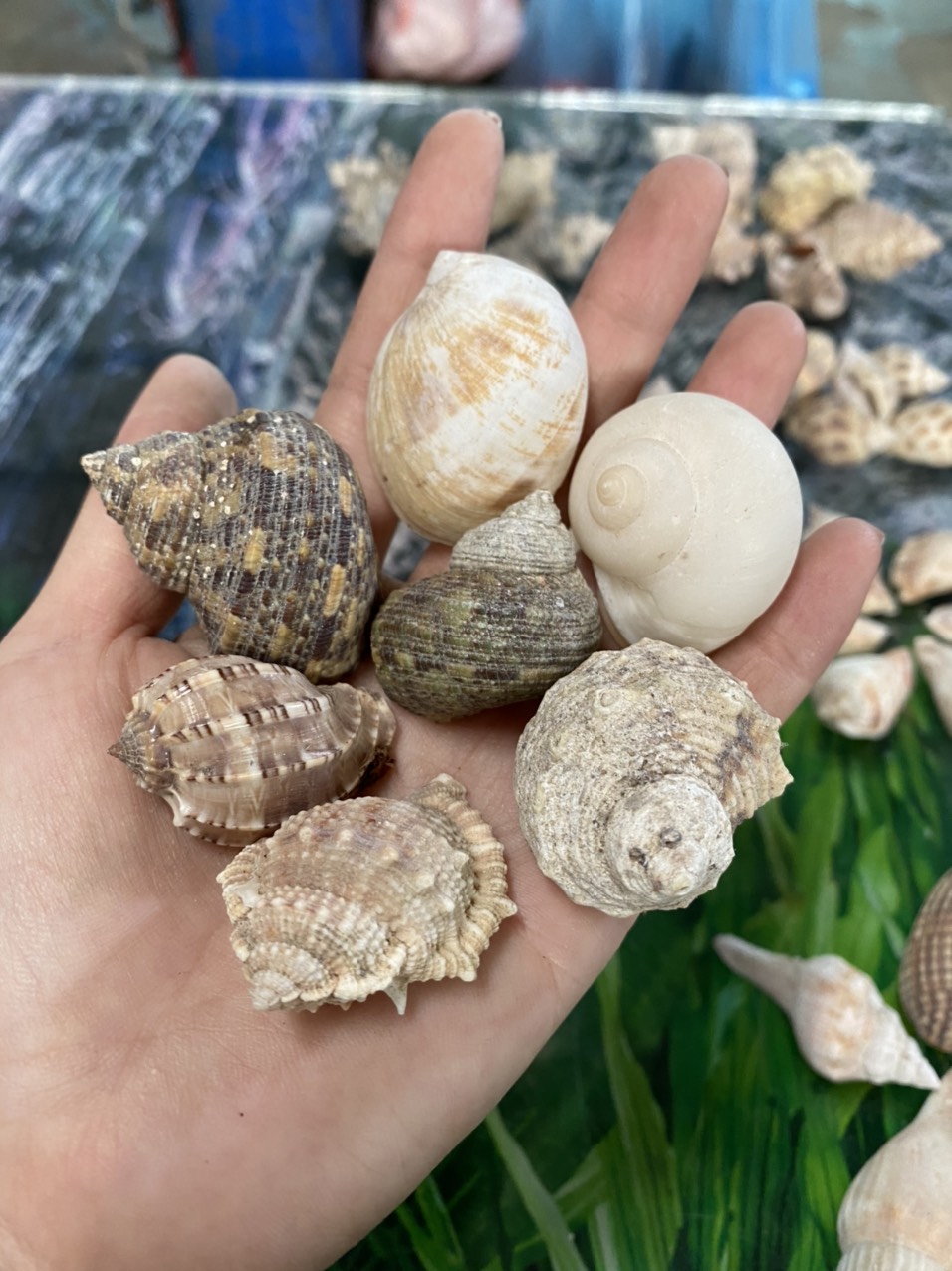 z3421053578027_a9c6e41a8032ce26c85948b20f7d2635