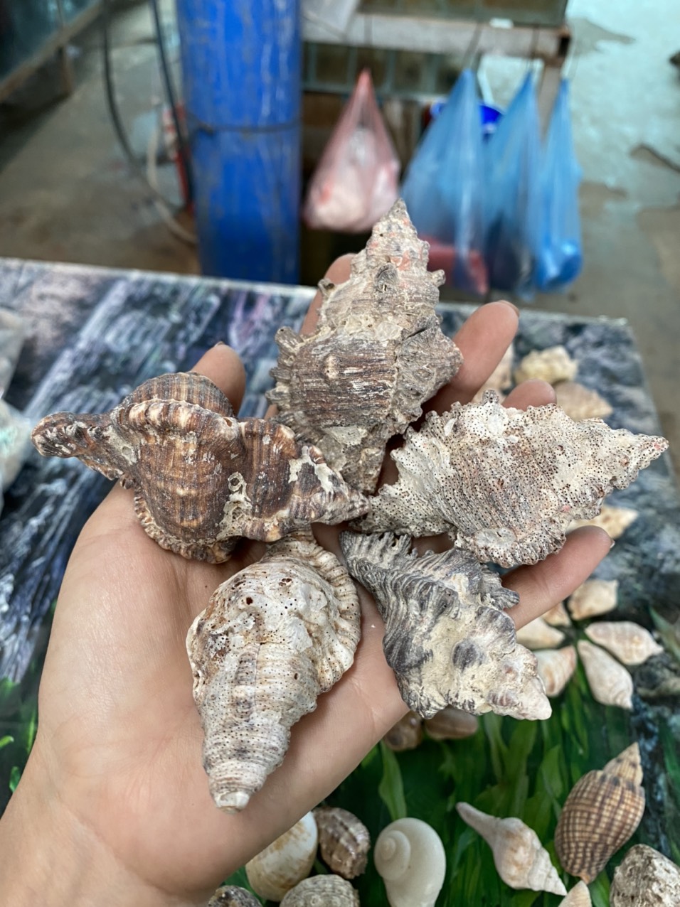 z3421053586007_288f190c86c333dfcfe7e01e6ea5c186