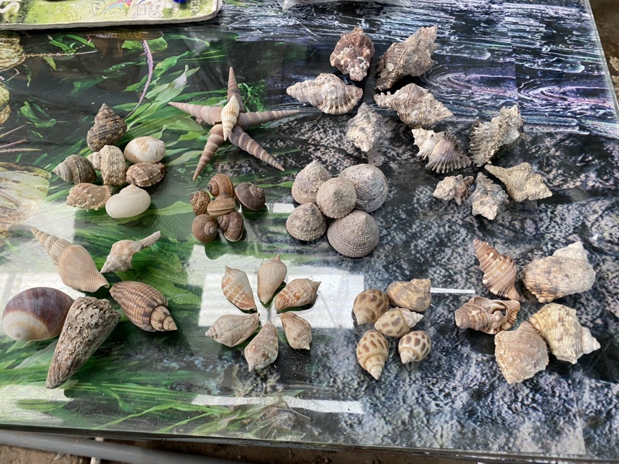 z3421053589614_d61bdd0b283e8d333fe4eadc87e403bc