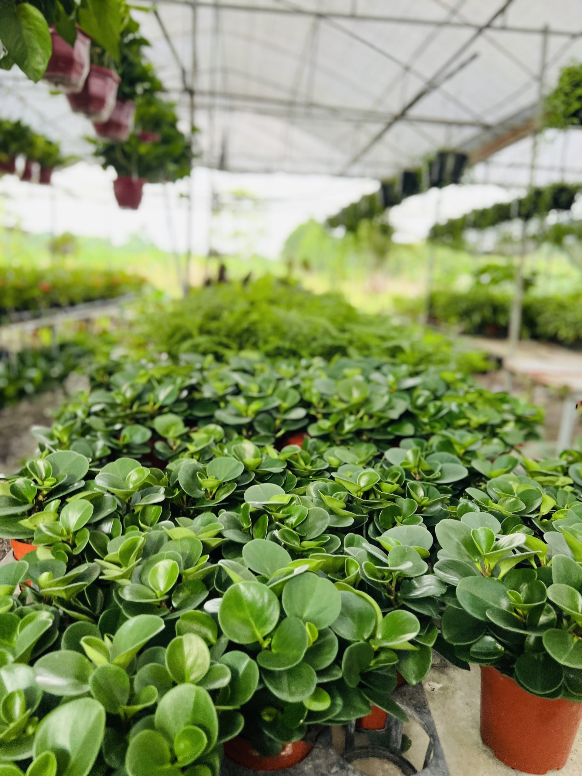 z3474351318309_32fbce9683ad5038bad5aa8262251118