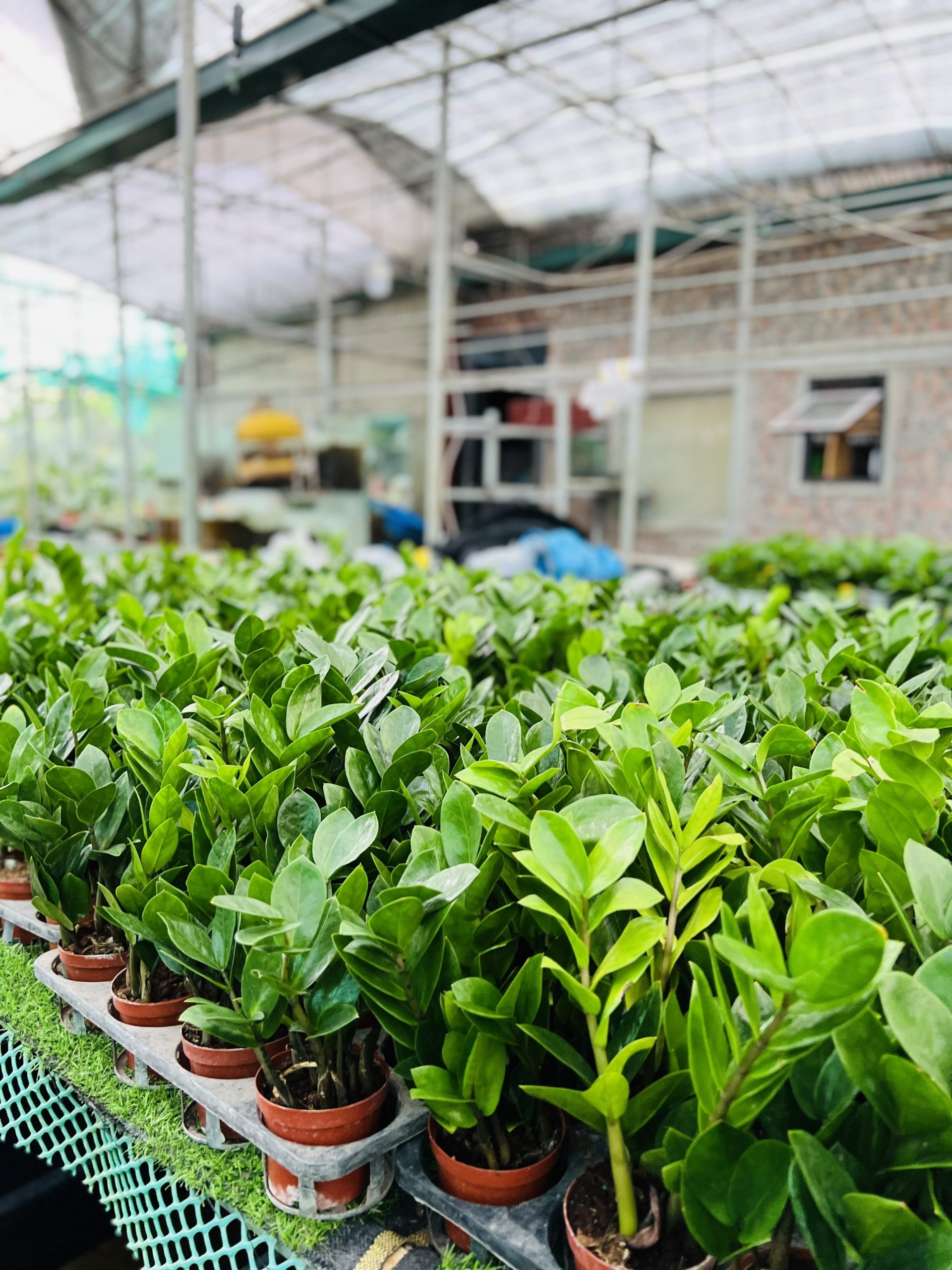 z3474351319505_f9c0004e26f2cf73618aac46d9332f73