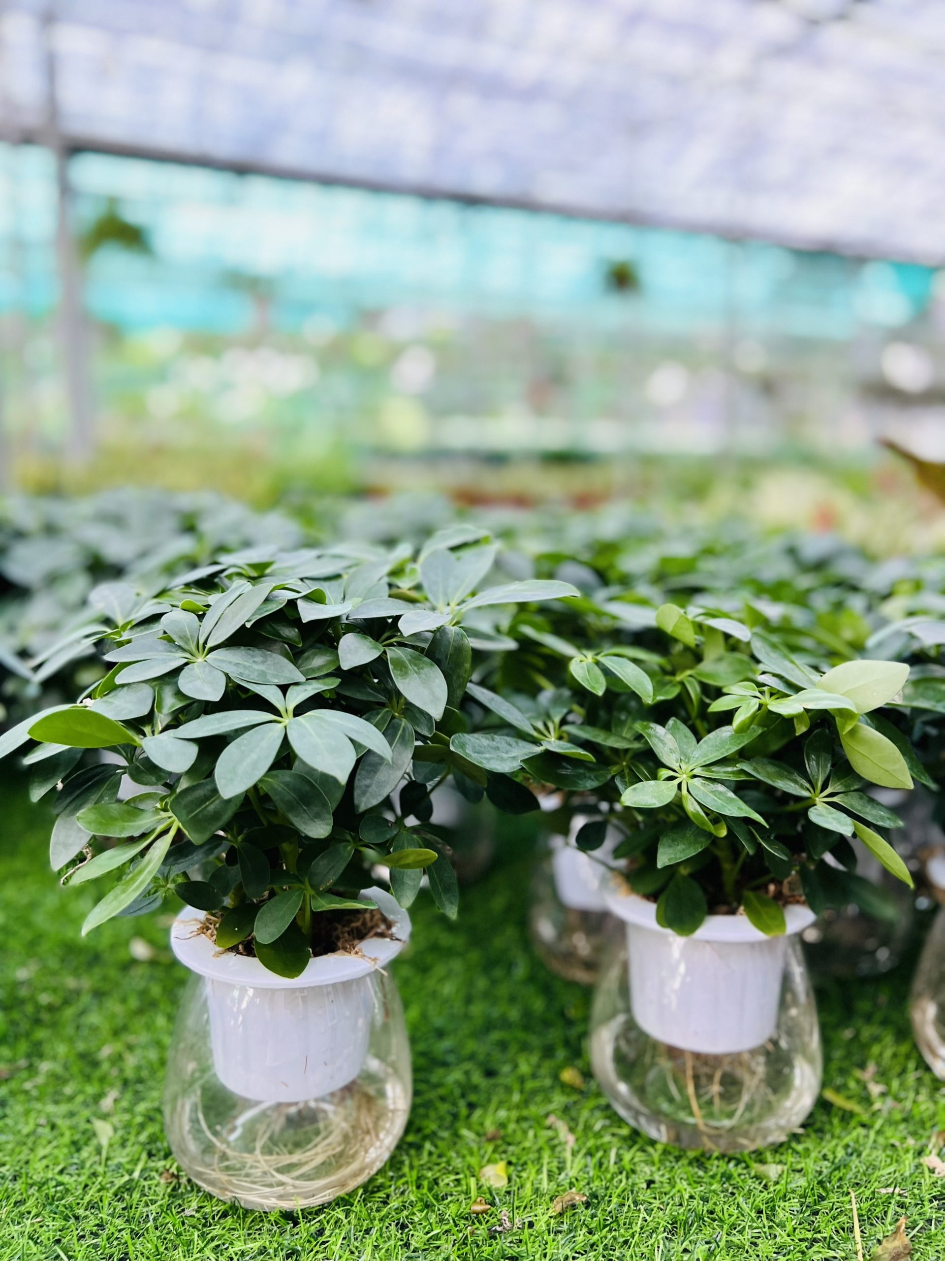 z3474351336956_020f061dbdf15f1f38cc0888f351aaaa