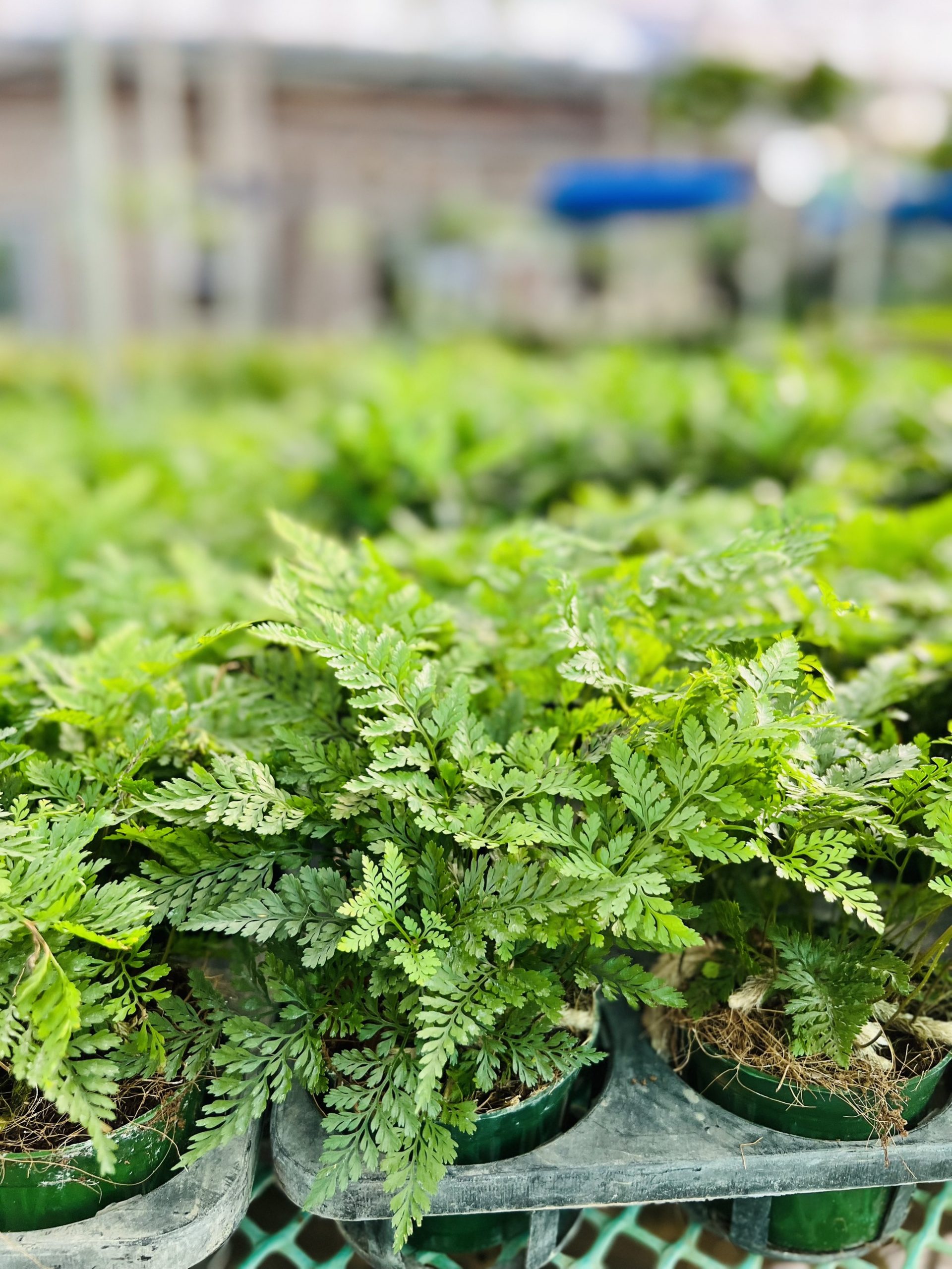 z3474351345715_26a4b7c53e3f2830d8030e607e8b6805