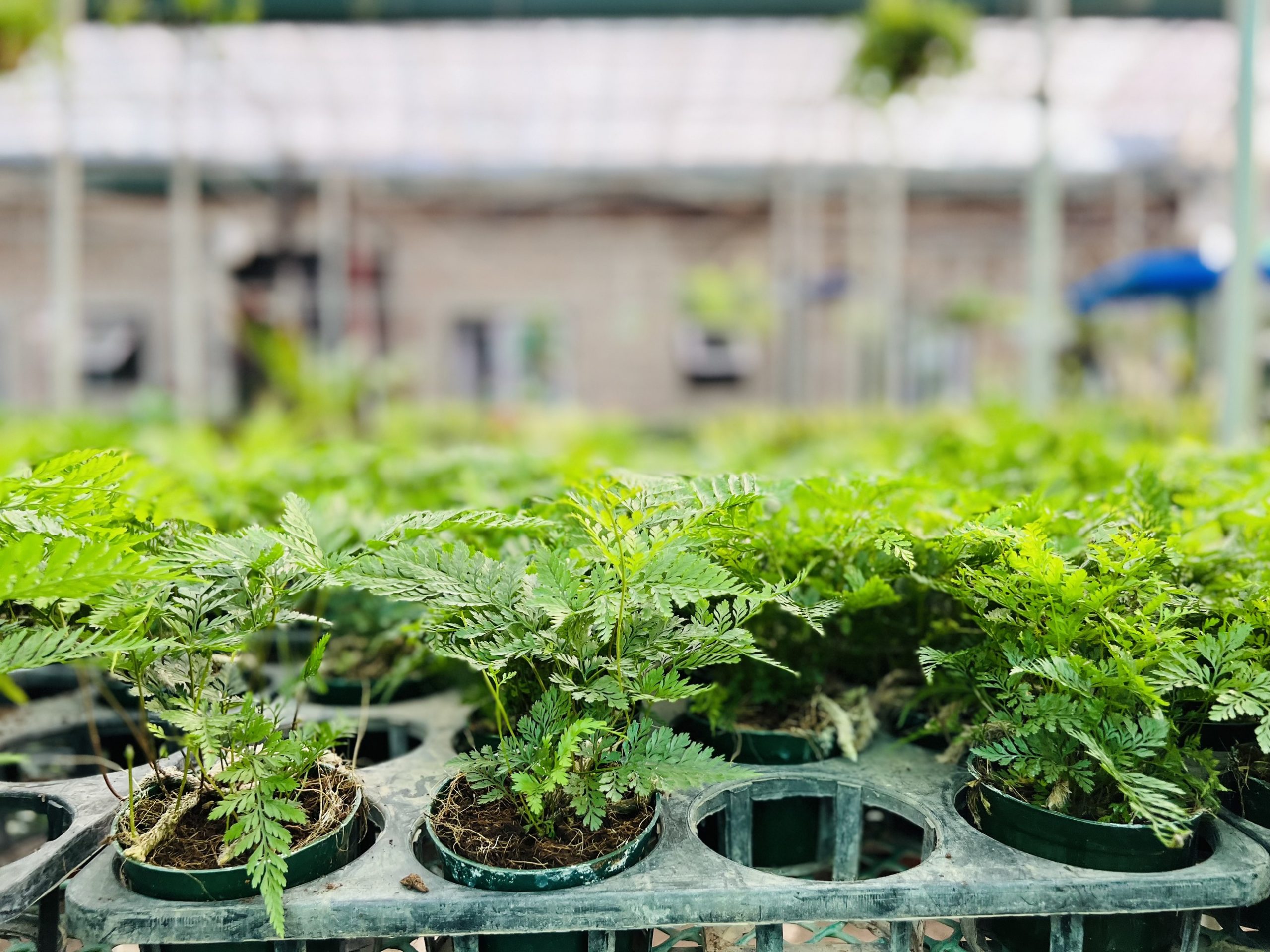 z3474351359735_b1395258c6eaaa0a3cff8c25cb227526