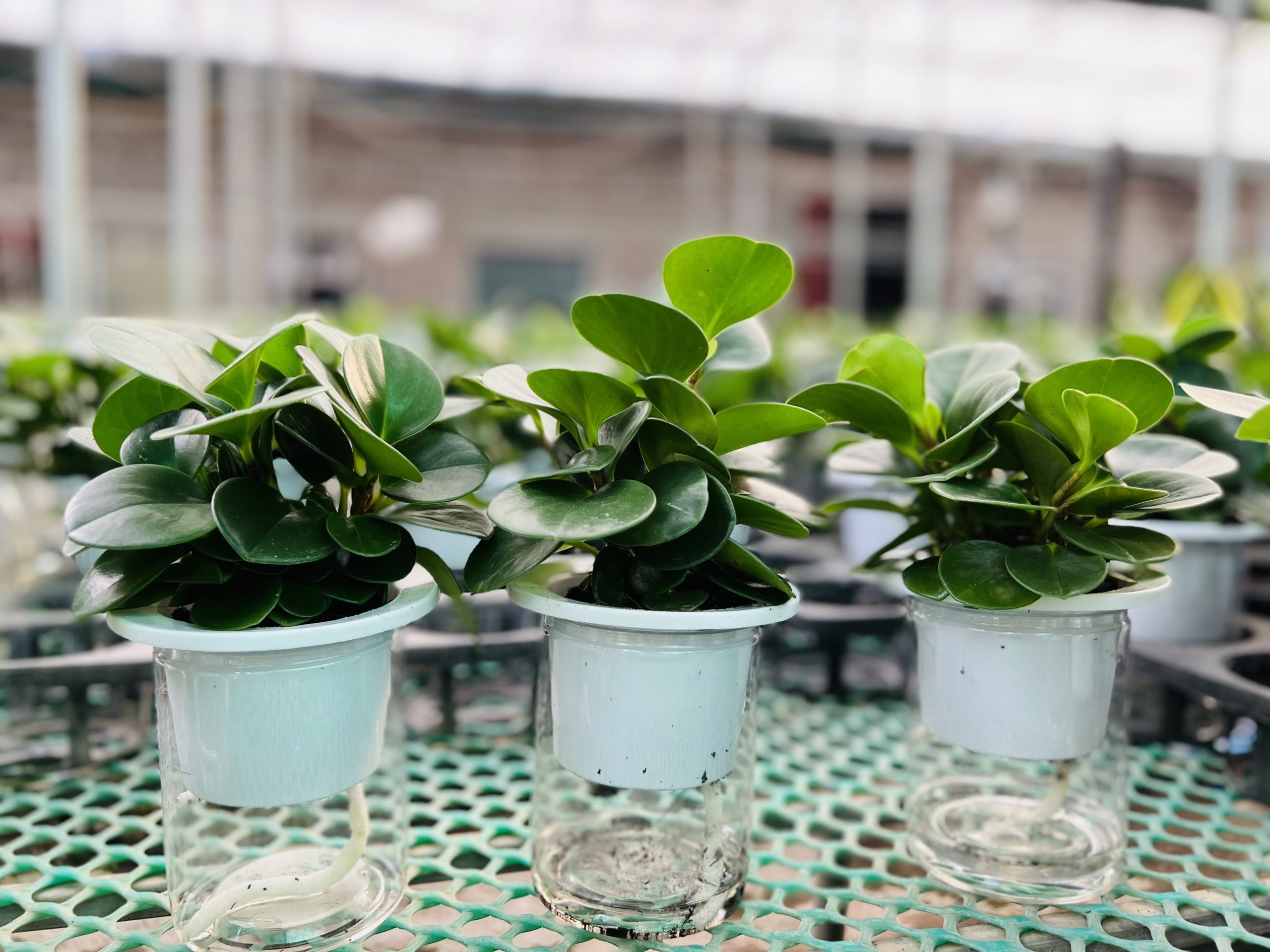 z3474351370057_c0da6e3a43aa846791bb262c20b62471