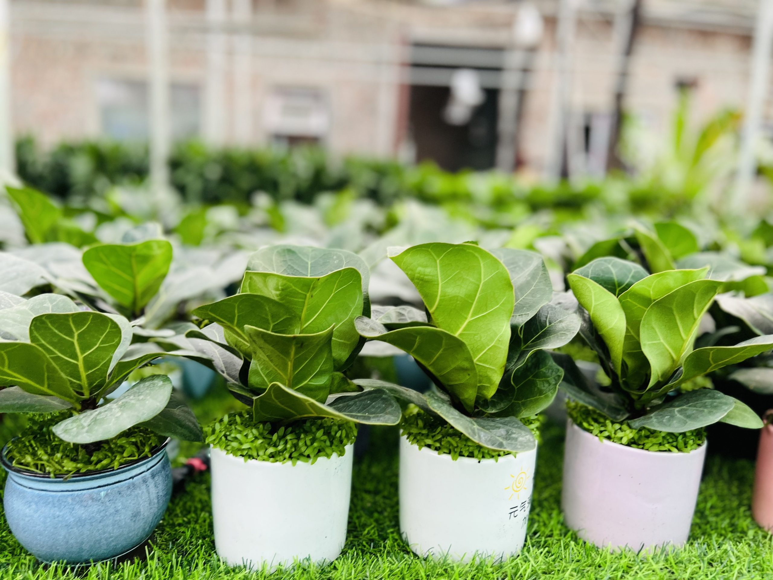 z3474351377605_69a246444092b6feef61b22241e9354f