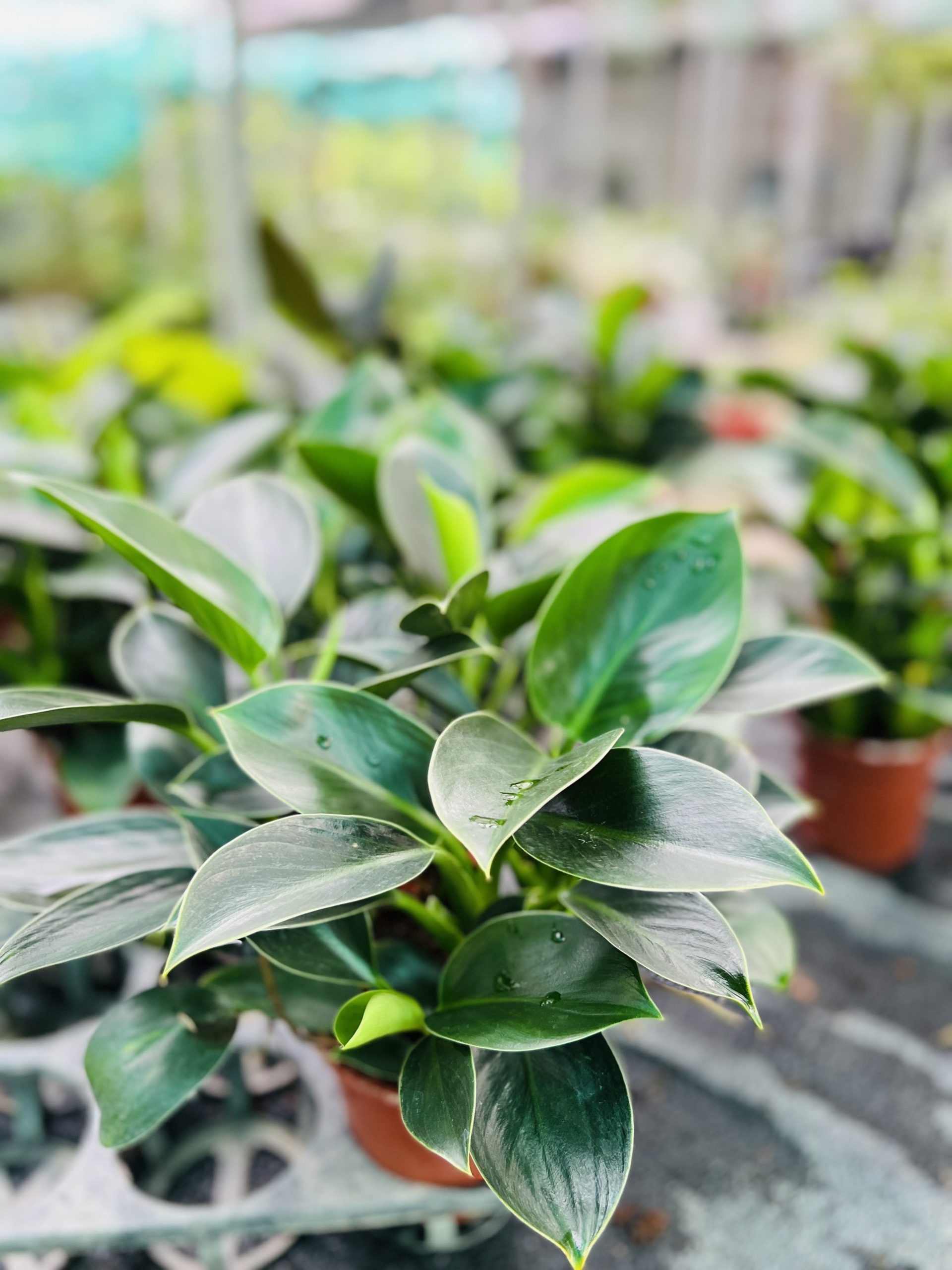 z3474351398617_78613fe03b06d4f75fa30e5e59f04146