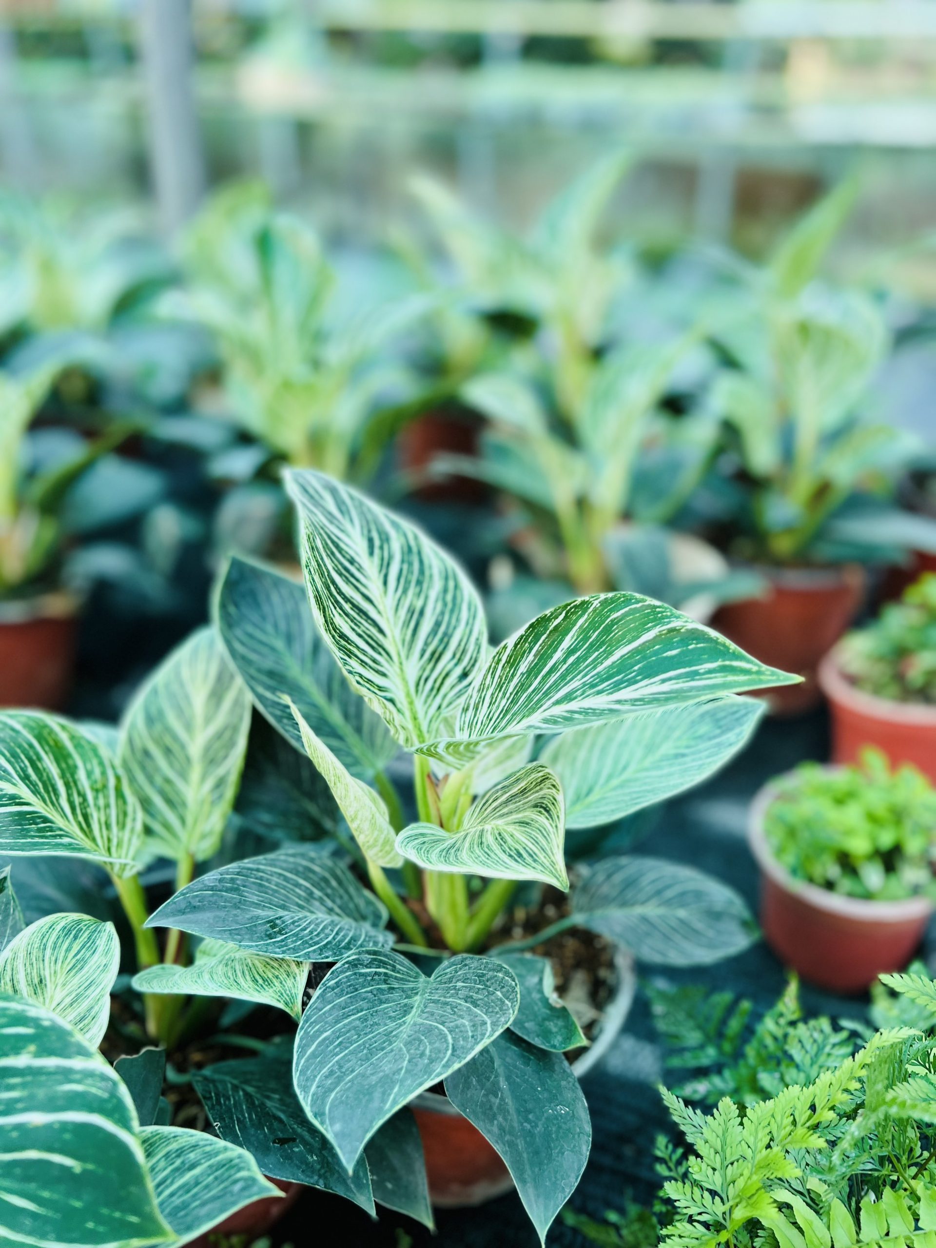 z3474351401237_337ae67974c3a3329d3623395dcdee46