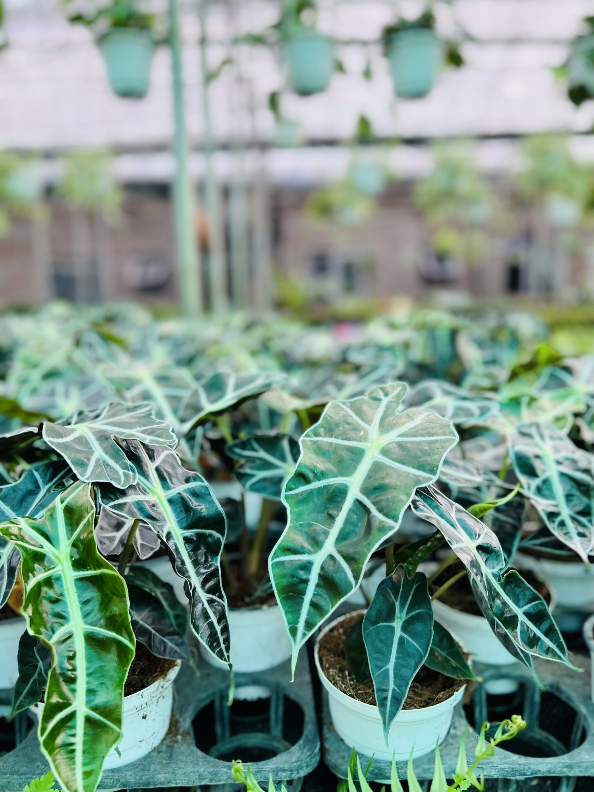 z3474351407526_f637920b2cd8e576fe2a45f7daae8a68