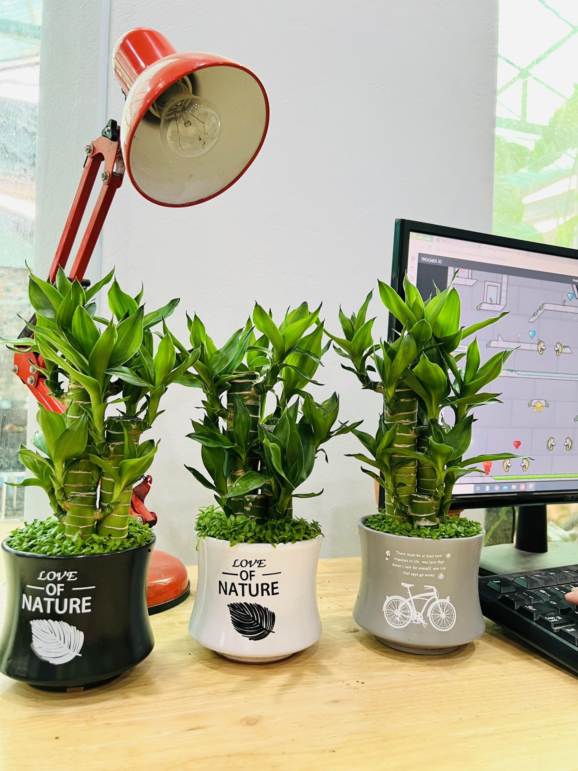 z3474351428516_7e1fb70d3936e85e1f952dd19953ded0