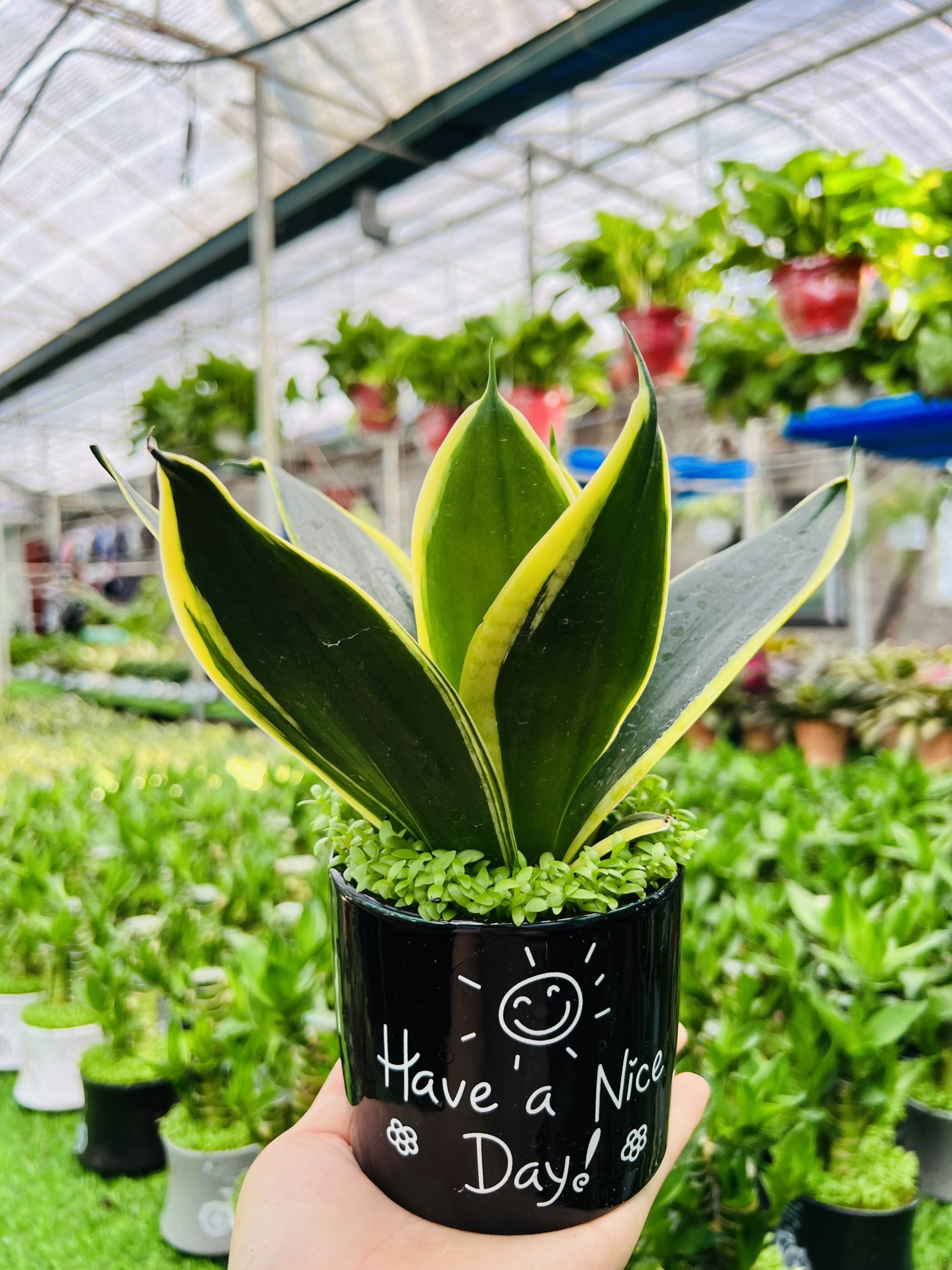 z3474351429123_5762e532351bc49e17dd250802bf7598