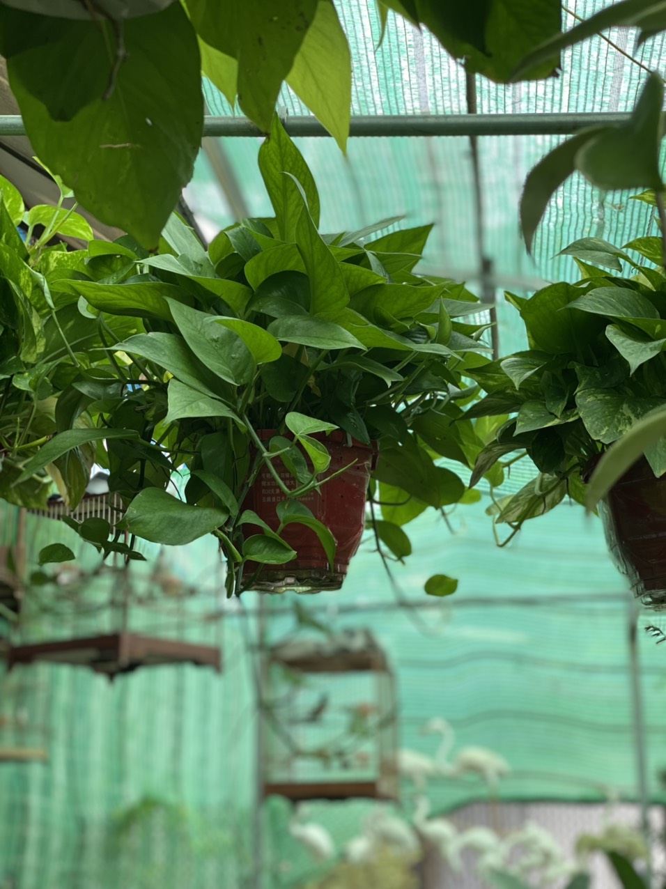 z3489136867498_011c95184eaebfa627fc22e30cfd100c